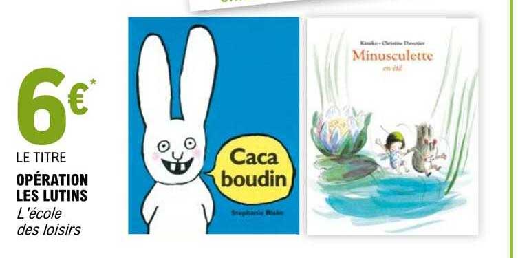 Opération Les Lutins