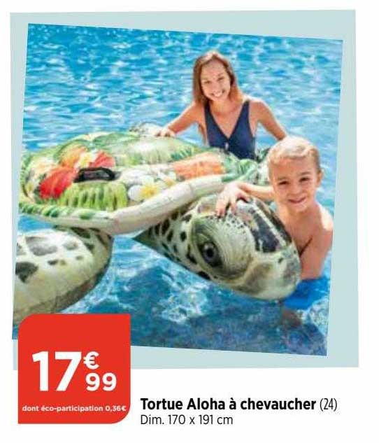 tortue aloha à chevaucher