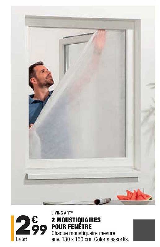 2 Moustiquaires Pour Fenêtre Living Art