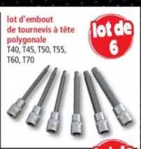 Lot D'embout De Tournevis à Tête Polygonale
