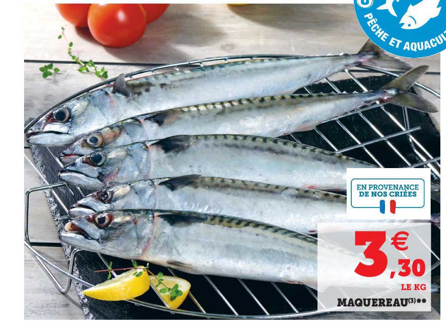 Maquereau