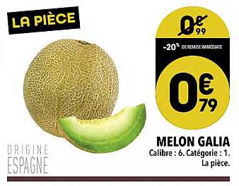 Melon Galia
