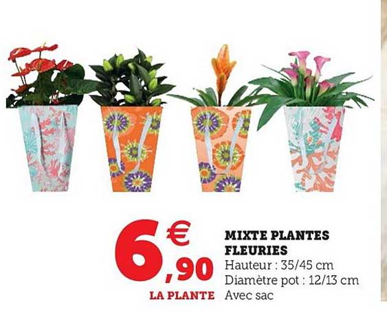 mixte plantes fleuries