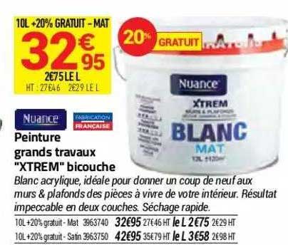 Peinture Grands Travaux "xtrem" Bicouche Nuance