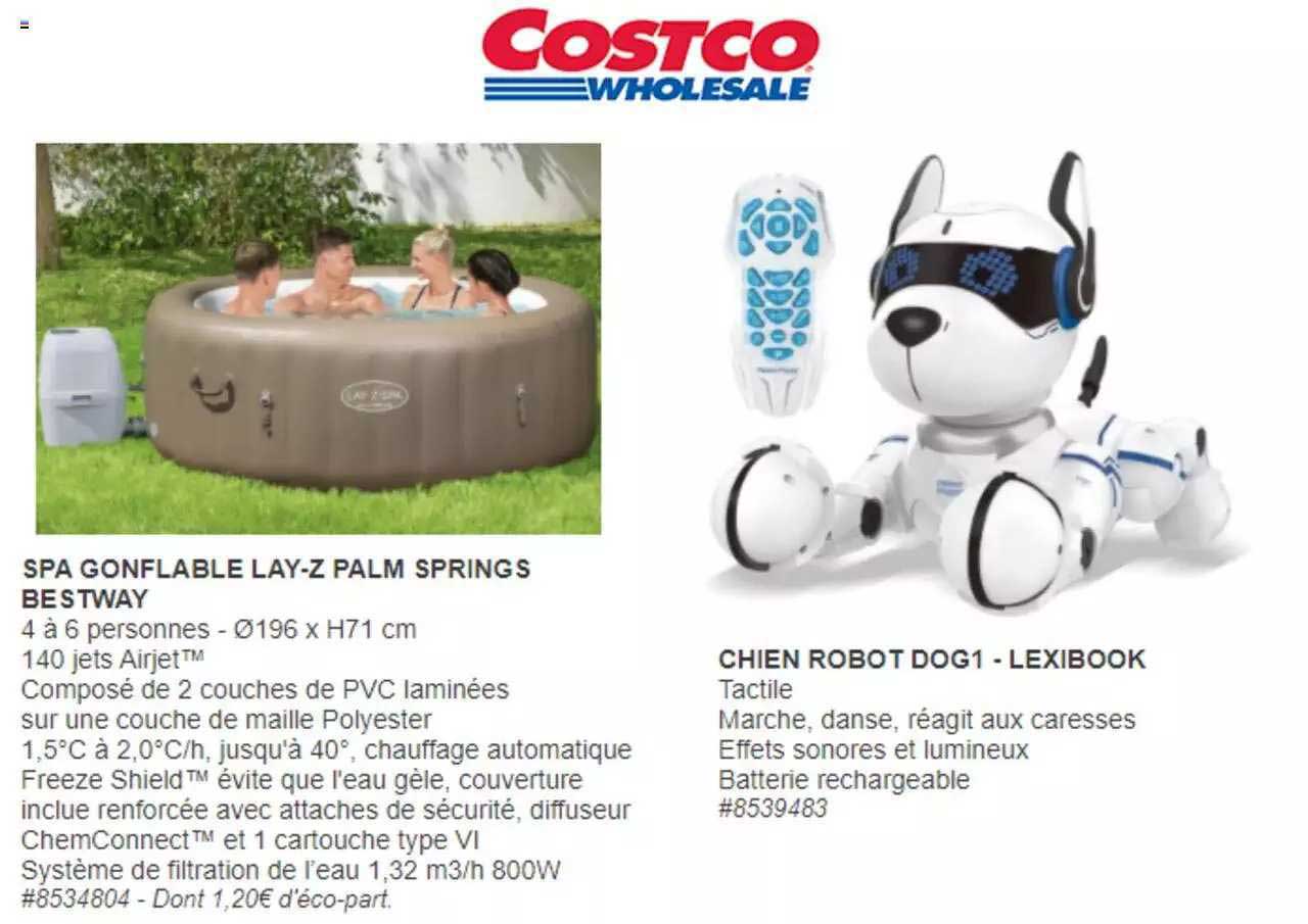 spa gonflable lay-z palm springs bestway, chien robot dog1 - lexibook