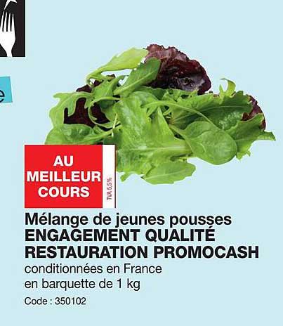 mélange de jeunes pousses engagement qualité restauration promocash