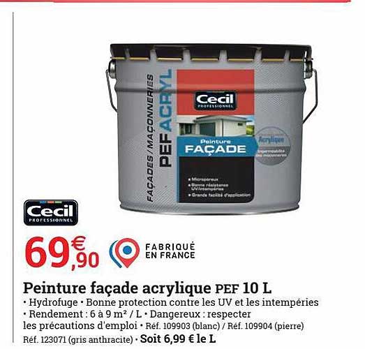 Peinture Façade Acrylique Pef 10l Cecil