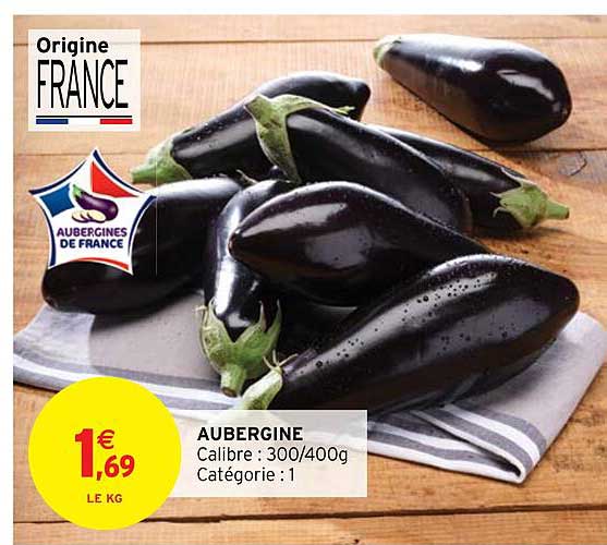 Aubergine
