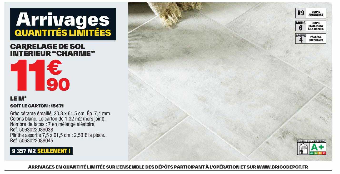 carrelage de sol intérieur "charme"