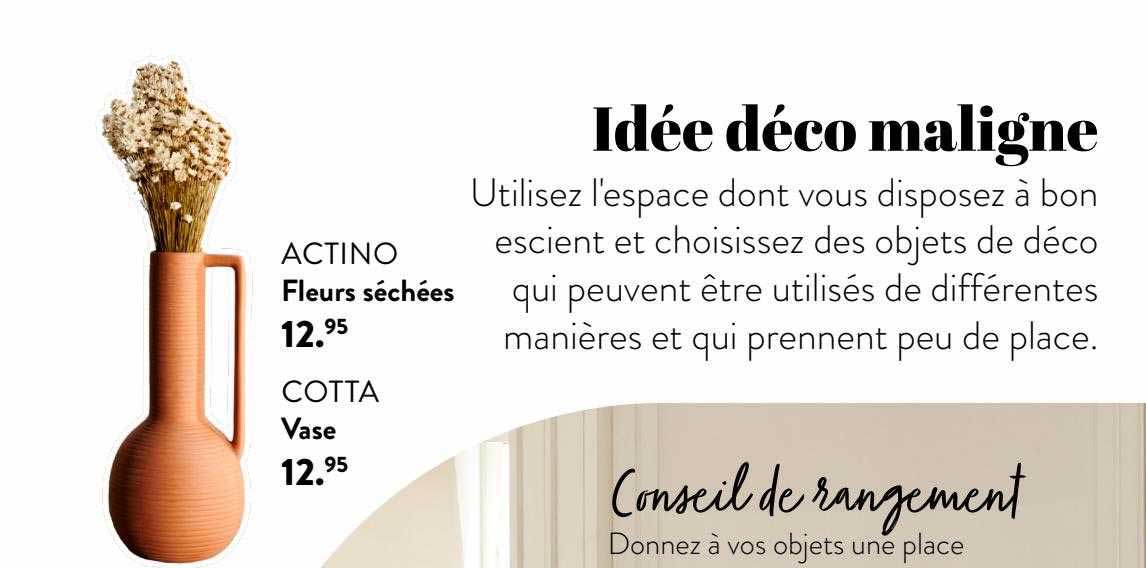 Fleurs Séchées Actino, Vase Cotta