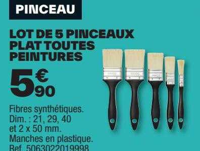 lot de 5 pinceaux plat toutes peintures