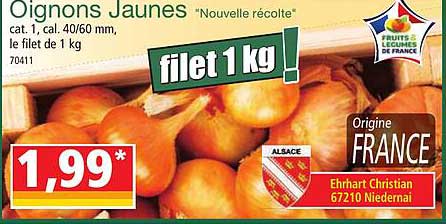 oignons jaunes "nouvelle récolte"