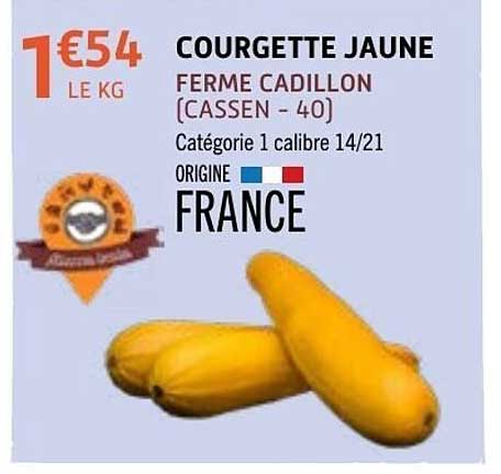 COURGETTE JAUNE