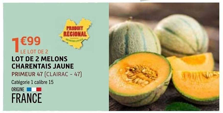 LOT DE 2 MELONS CHARENTAIS JAUNE