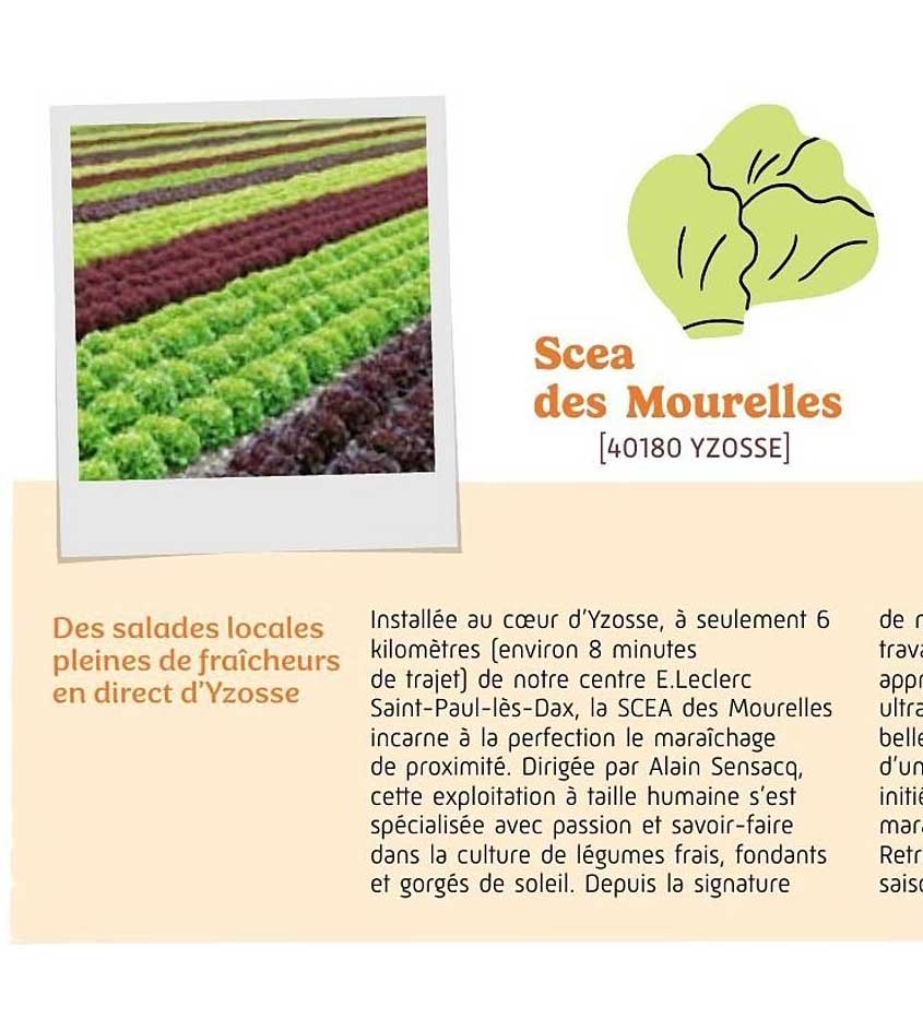 Scea des Mourelles