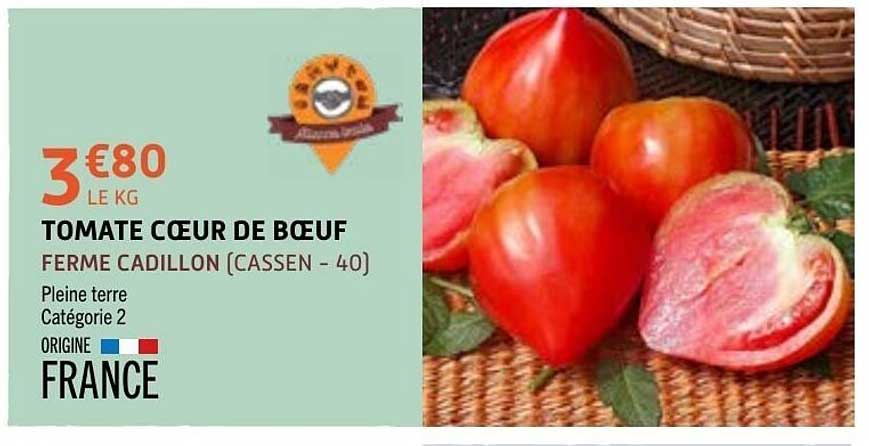 TOMATE CŒUR DE BŒUF