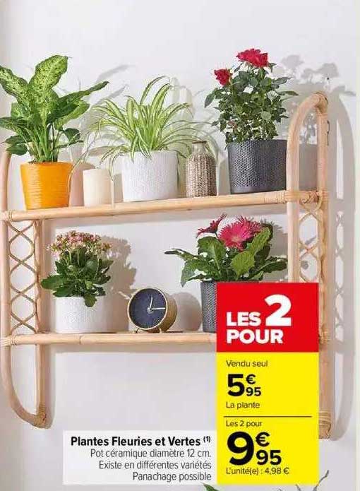 plantes fleuries et vertes