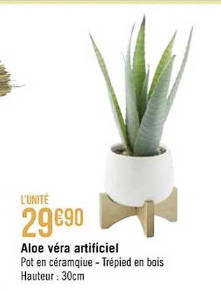 aloe véra artificiel
