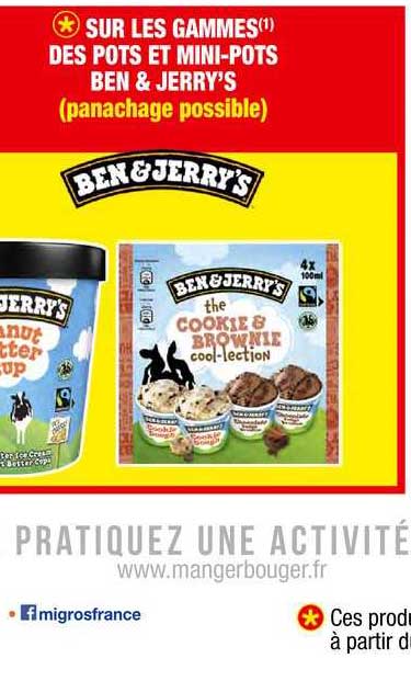 pots et mini-pots ben&jerry's
