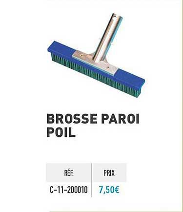 brosse paroi poil