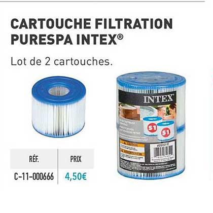 cartouche filtration purespa intex