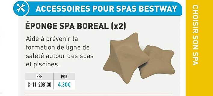éponge spa boreal (x2)