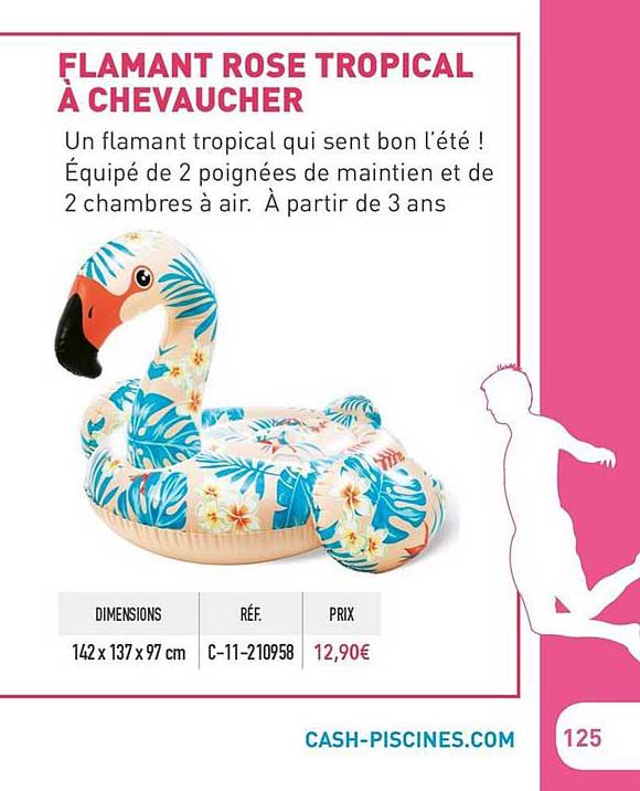 flamant rose tropical à chevaucher