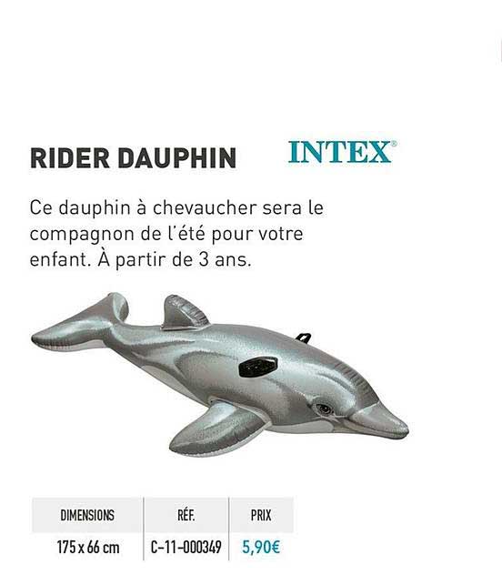 rider dauphin intex