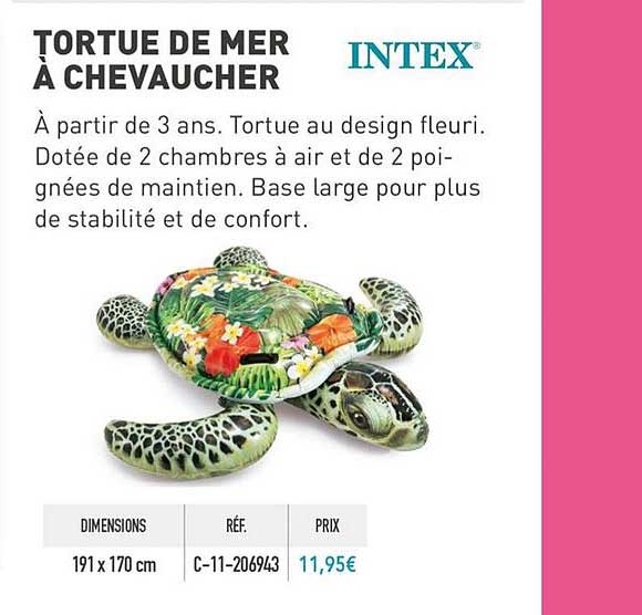 tortue de mer à chevaucher intex