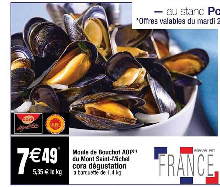 moule de bouchot aop du mont saint-michel cora dégustation