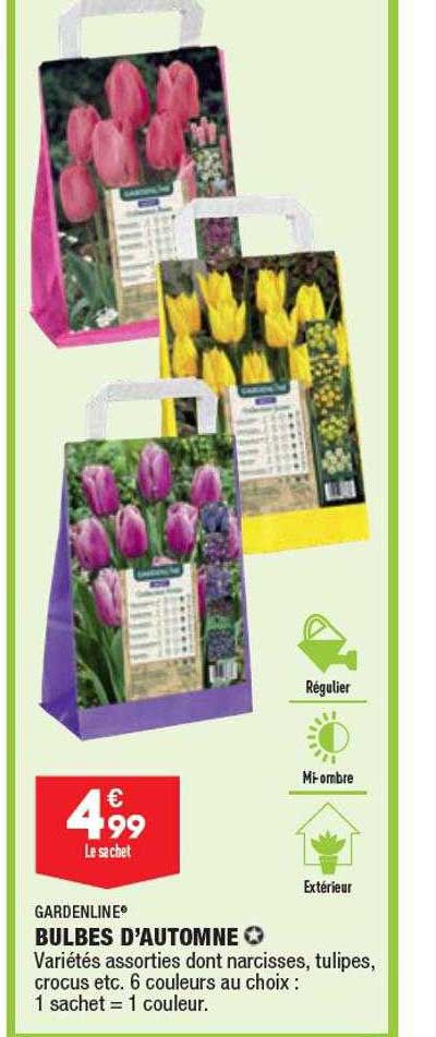 bulbes d'automne gardenline