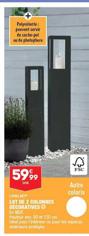 lot de 2 colonnes décoratives living art