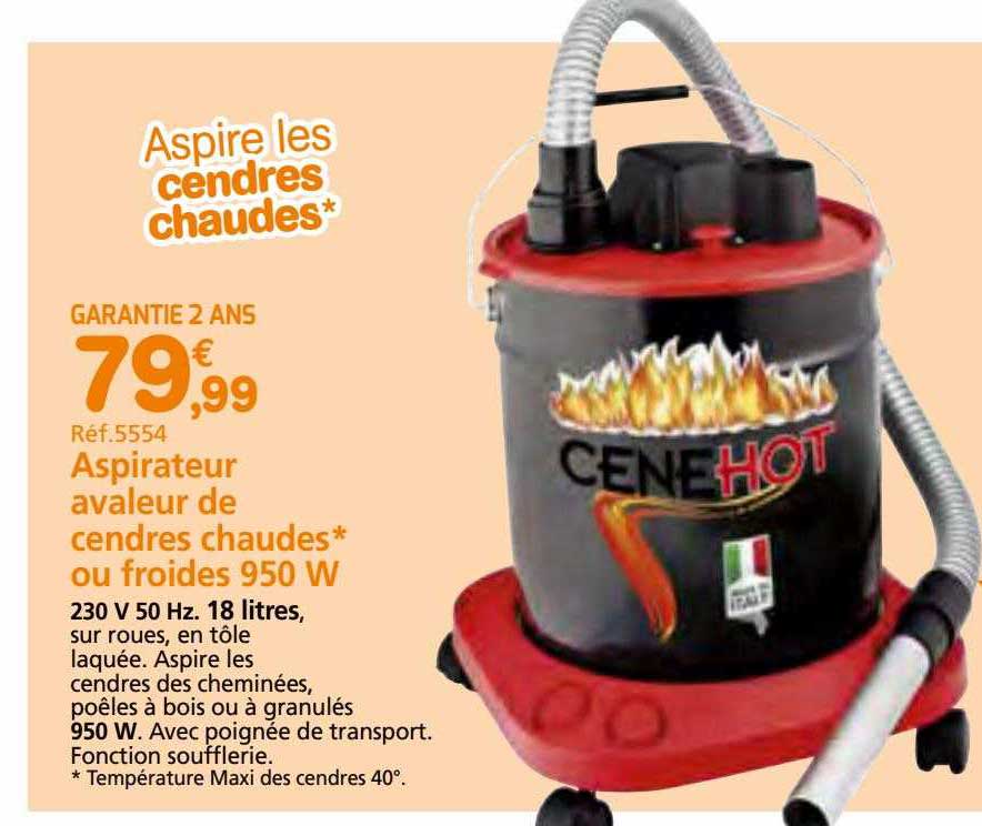Aspirateur Avaleur De Cendres Chaudes Ou Froides 950 W