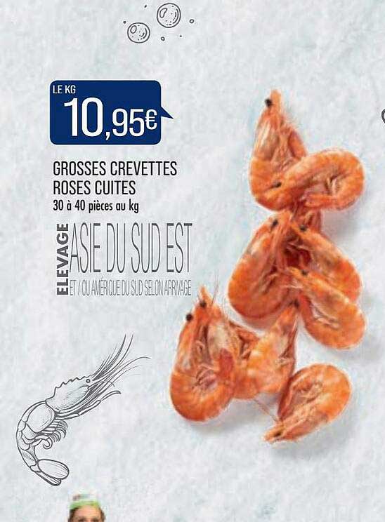 grosses crevettes roses cuites