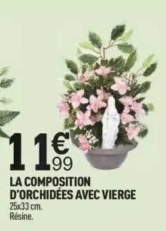 la composition d'orchidées avec vierge