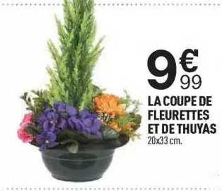La Coupe De Fleurettes Et De Thuyas