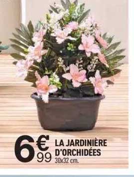 la jardinière d'orchidées