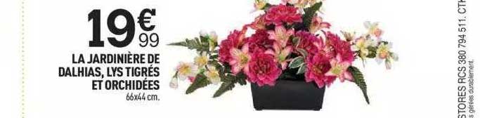 la jardinière de dalhias, lys tigrés et orchidées