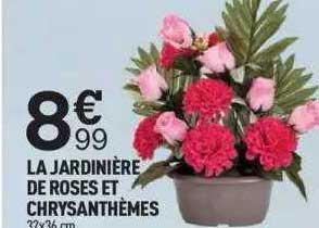La Jardinière De Roses Et Chrysanthèmes