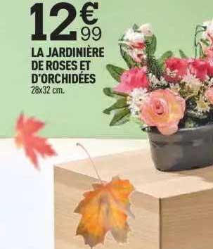 la jardinière de roses et d'orchidées