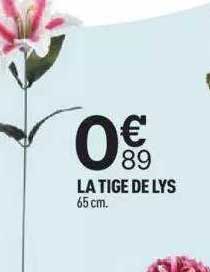 la tige de lys