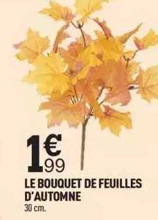 le bouquet de feuilles d'automne