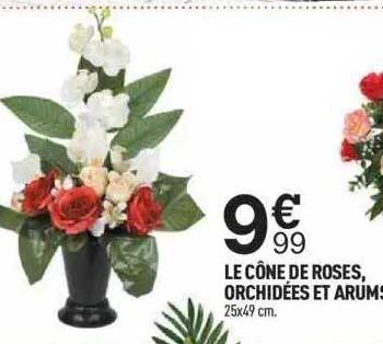 Le Cône De Roses, Orchidées Et Arums