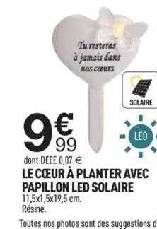 le cœur à planter avec papillon led solaire