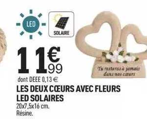 les deux cœurs avec fleurs led solaires