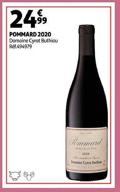 pommard 2020 domaine cyrot buthiau