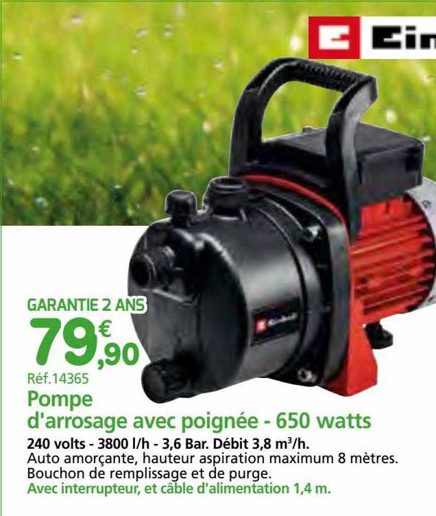 pompe d'arrosage avec poignée - 650 watts einhell