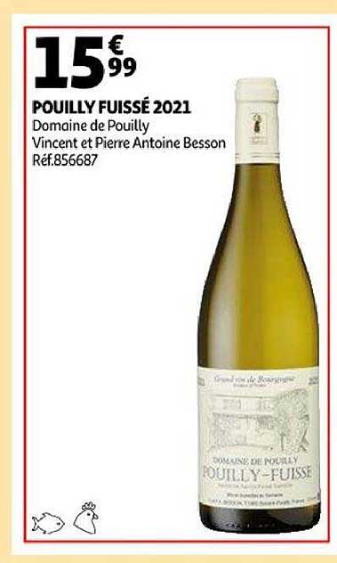 pouilly fuissé 2021 domaine de pouilly vincent et pierre antoine besson