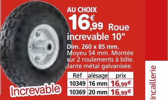 roue increvable 10"
