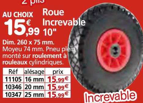 roue increvable 10"